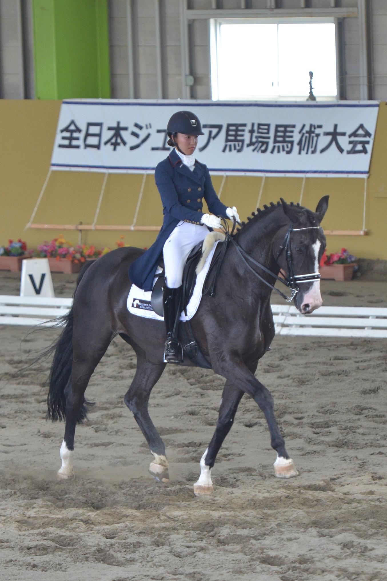 馬術の様子