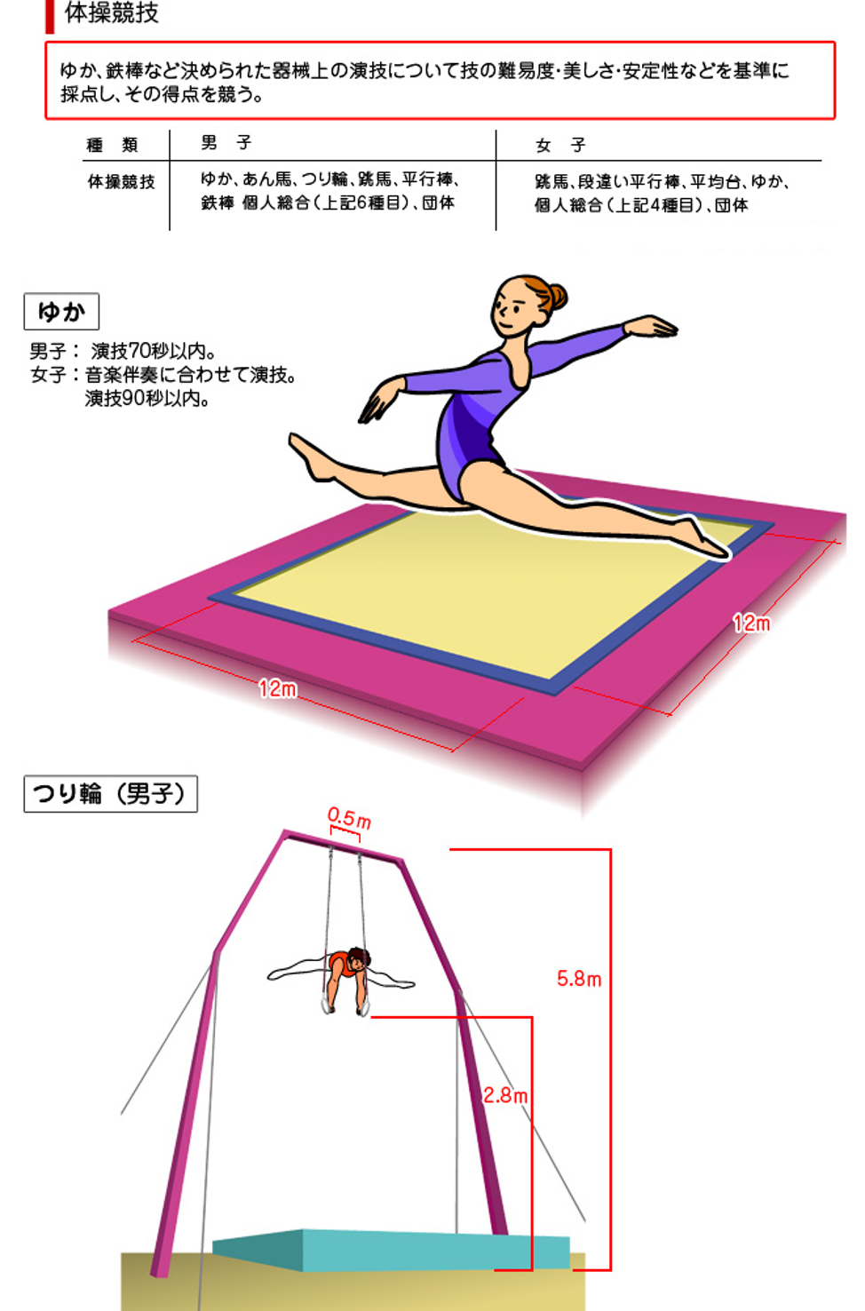 体操競技 オリンピック競技 競技 大会情報 東京大会開催準備 東京都オリンピック パラリンピック準備局