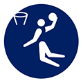 icon:Basketball