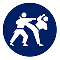 icon:Karate
