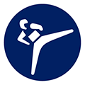 icon:Taekwondo