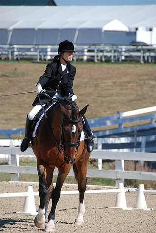 playing view(Lexington KY FEI World Equestrian Games 2010)