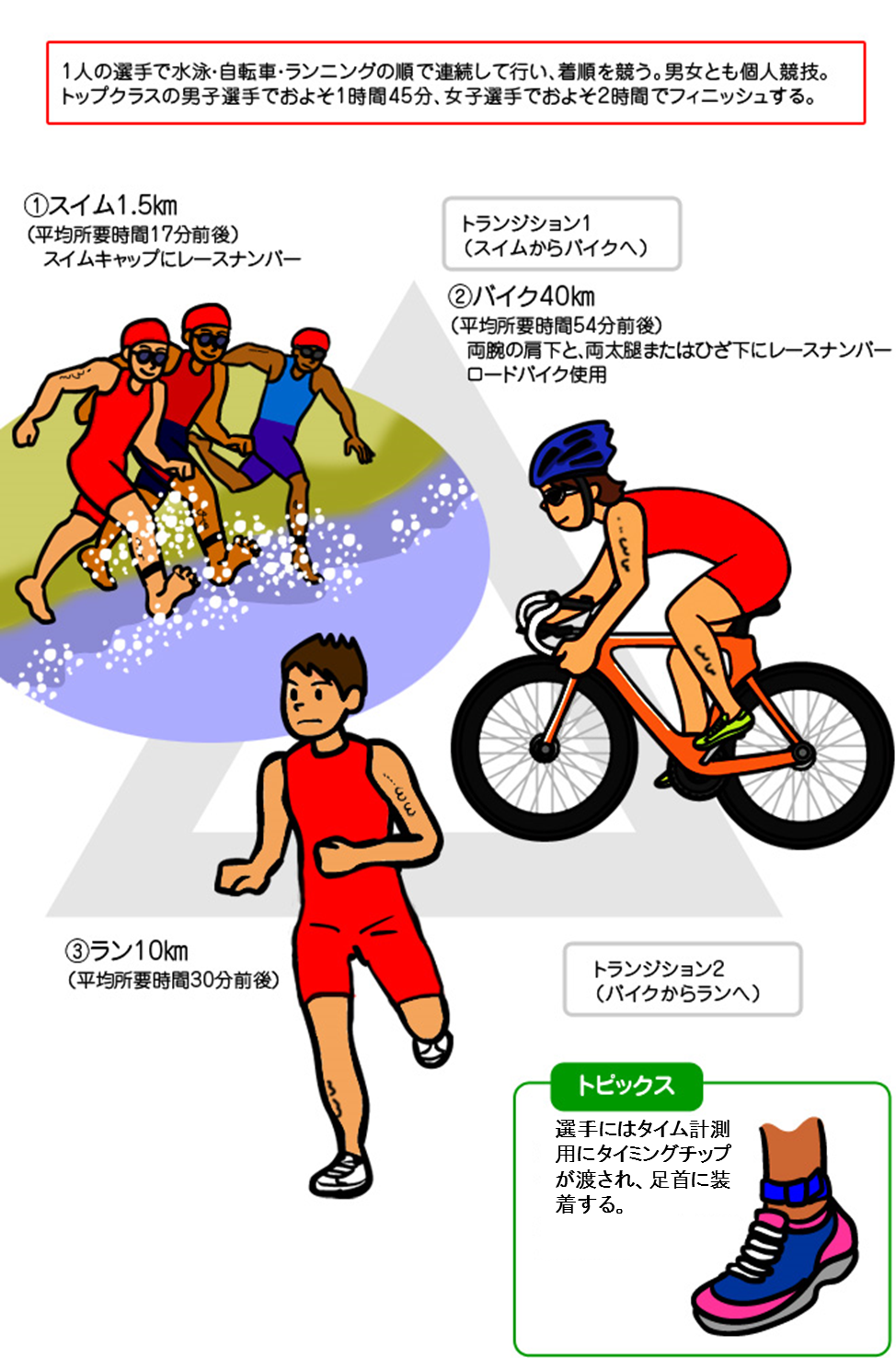 トライアスロン オリンピック競技 競技 大会情報 東京大会開催準備 東京都オリンピック パラリンピック調整部